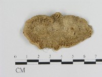 登錄號:F0020985藏品圖，第1張
