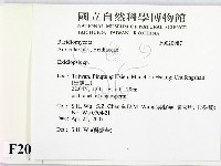 登錄號:F0020987藏品圖，第2張