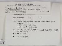 登錄號:F0020990藏品圖，第2張
