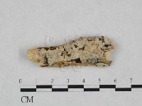 登錄號:F0020990藏品圖，第1張