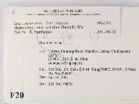登錄號:F0020991藏品圖，第2張