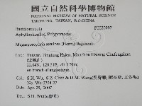登錄號:F0020993藏品圖，第2張