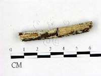 登錄號:F0020995藏品圖，第1張