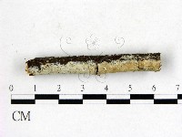 登錄號:F0020995藏品圖，第3張