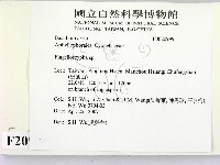 登錄號:F0020999藏品圖，第2張