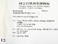 登錄號:F0021001藏品圖，第2張