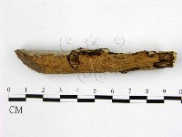 登錄號:F0021001藏品圖，第3張