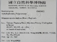 登錄號:F0021002藏品圖，第2張