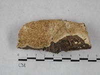 登錄號:F0021002藏品圖，第1張