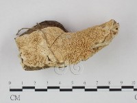 登錄號:F0021002藏品圖，第3張