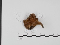 登錄號:F0021003藏品圖，第3張