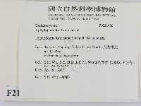 登錄號:F0021005藏品圖，第2張