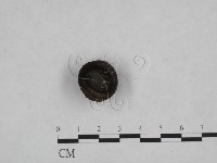 登錄號:F0021007藏品圖，第1張