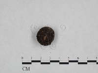 登錄號:F0021007藏品圖，第3張