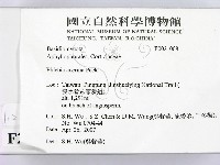 登錄號:F0021008藏品圖，第2張