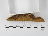 登錄號:F0021009藏品圖，第3張