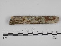 登錄號:F0021013藏品圖，第1張