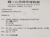 韌革菌屬藏品圖，第2張