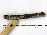 登錄號:F0021015藏品圖，第3張