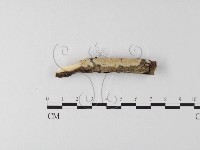 登錄號:F0021016藏品圖，第4張