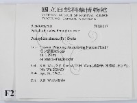 登錄號:F0021017藏品圖，第2張