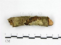 登錄號:F0021020藏品圖，第1張