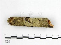 登錄號:F0021020藏品圖，第3張
