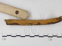 登錄號:F0021021藏品圖，第3張