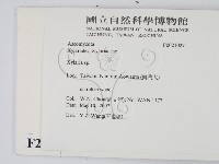 炭角菌屬藏品圖，第2張