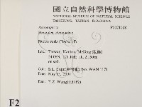 登錄號:F0021028藏品圖，第2張
