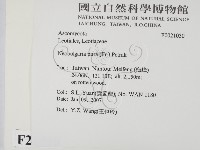 登錄號:F0021030藏品圖，第2張