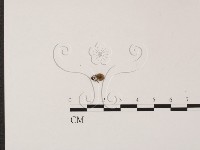 登錄號:F0021031藏品圖，第3張