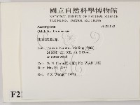 登錄號:F0021032藏品圖，第2張