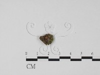 登錄號:F0021033藏品圖，第1張