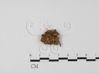 登錄號:F0021039藏品圖，第1張