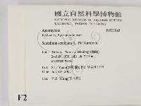 登錄號:F0021040藏品圖，第2張