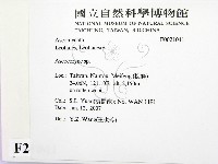 登錄號:F0021041藏品圖，第2張