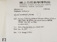 登錄號:F0021042藏品圖，第2張