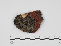 登錄號:F0021042藏品圖，第1張