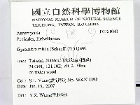 登錄號:F0021043藏品圖，第2張