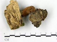 登錄號:F0021043藏品圖，第3張
