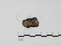 登錄號:F0021045藏品圖，第1張