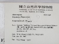 登錄號:F0021049藏品圖，第2張