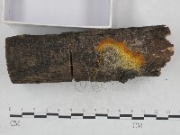 登錄號:F0021049藏品圖，第3張