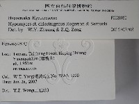 登錄號:F0021050藏品圖，第2張
