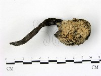 登錄號:F0021050藏品圖，第1張