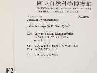登錄號:F0021053藏品圖，第2張