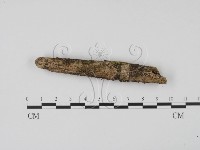 登錄號:F0021055藏品圖，第1張