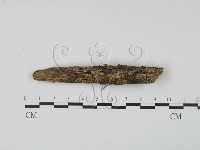 登錄號:F0021055藏品圖，第3張