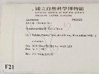登錄號:F0021056藏品圖，第2張